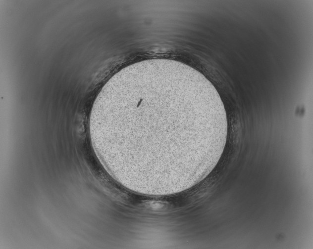 X0000112920654200910051109