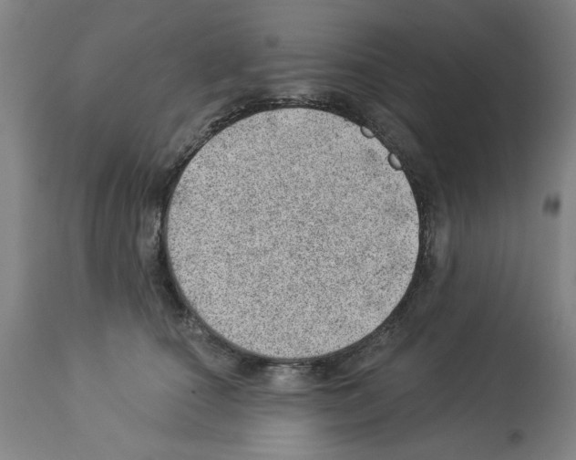 X0000112920660200910051109