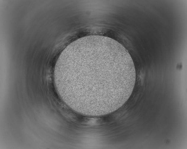 X0000112920663200910051109