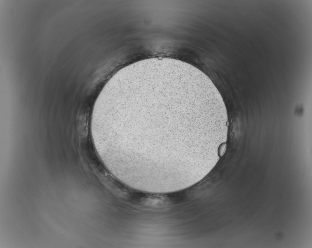 X0000112920666200910051109