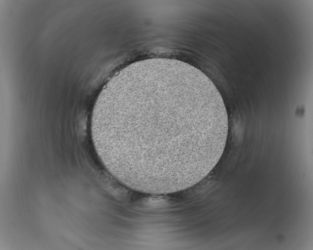 X0000112920668200910051109