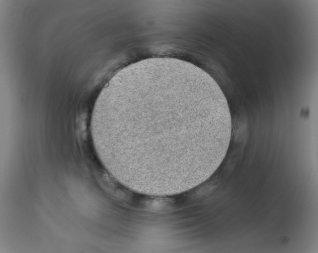 X0000112920670200910051109