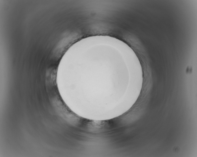 X0000112920672200910051109