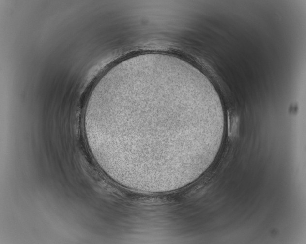 X0000112920675200910051108