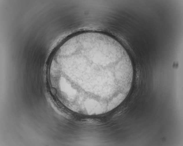 X0000112920678200910051108