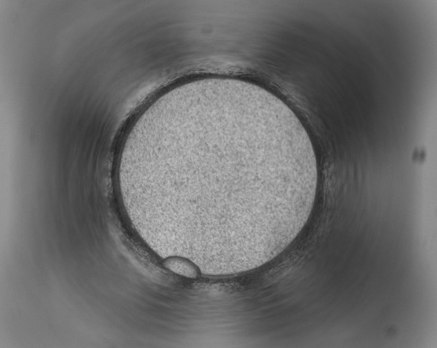X0000112920679200910051108