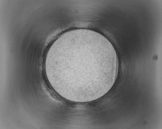 X0000112920682200910051108
