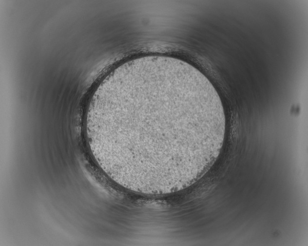 X0000112920683200910051108