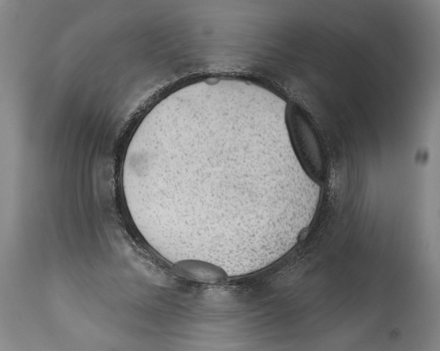 X0000112920684200910051108