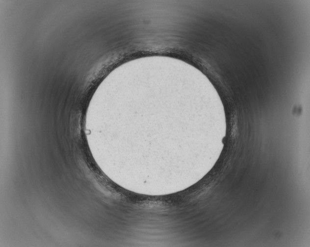 X0000112920685200910051108