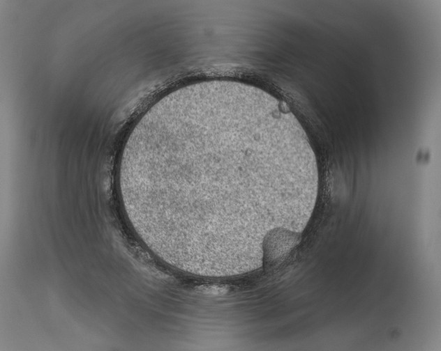 X0000112920687200910051108