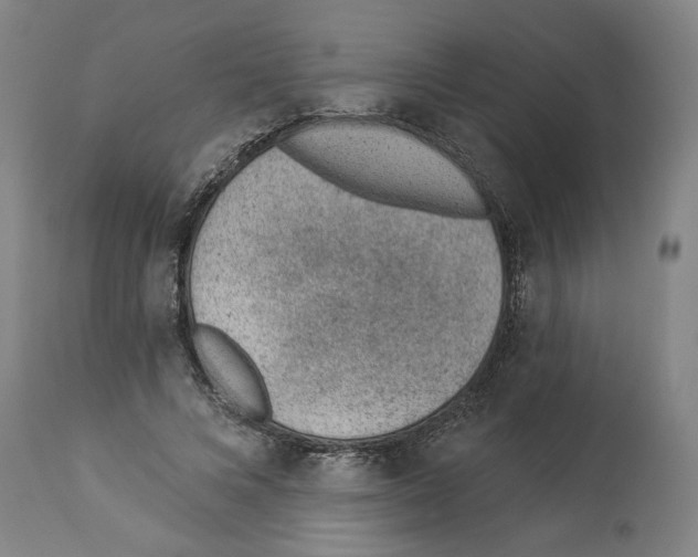 X0000112920688200910051108
