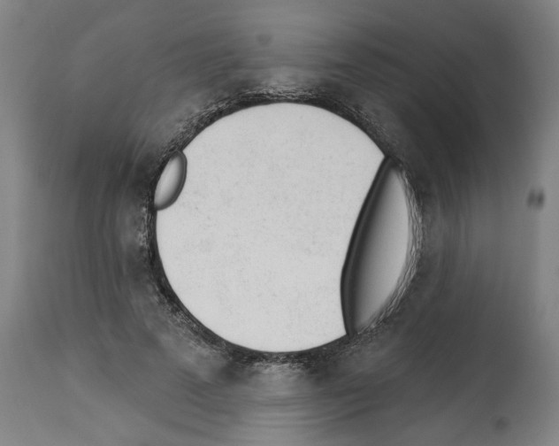 X0000112920689200910051108