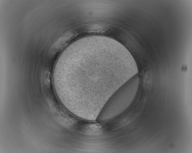 X0000112920692200910051108