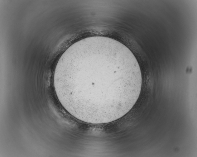 X0000112920694200910051108