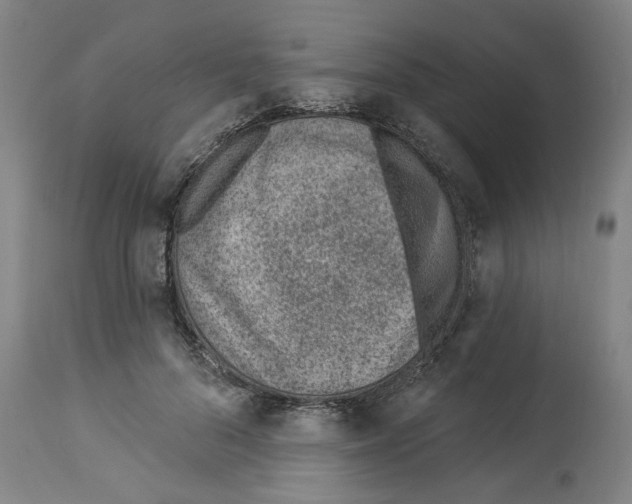 X0000112920696200910051108