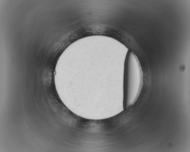 X0000112920697200910051108