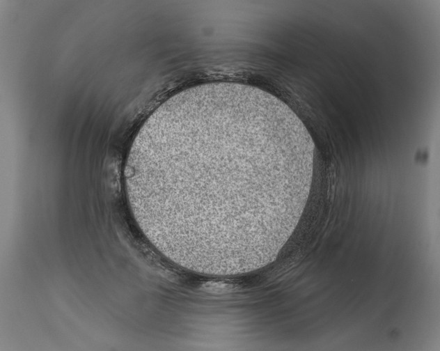 X0000112920699200910051108