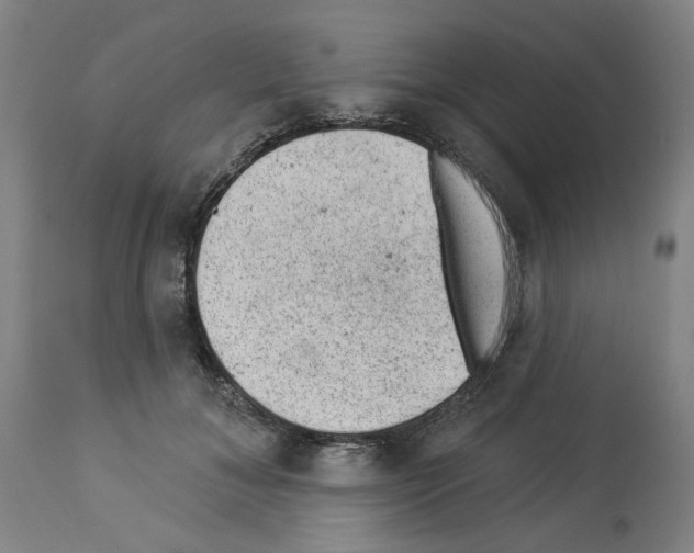 X0000112920700200910051108