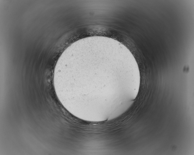 X0000112920701200910051108
