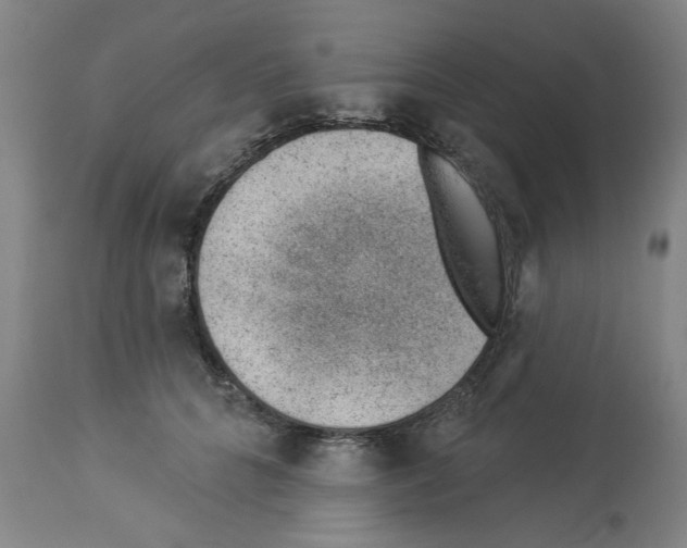 X0000112920704200910051108