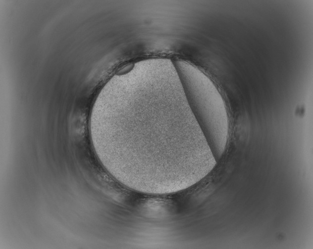 X0000112920708200910051108