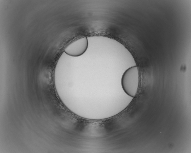 X0000112920709200910051108