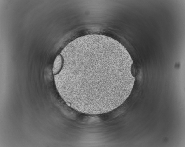 X0000112920715200910051108