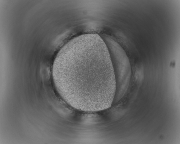 X0000112920716200910051108