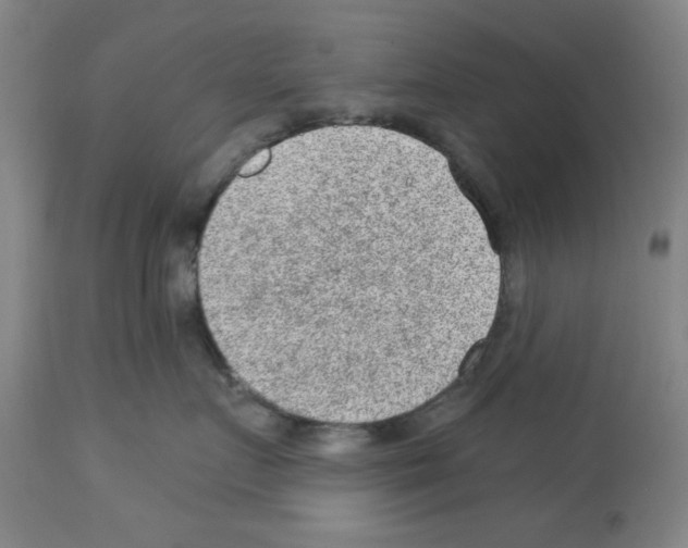 X0000112920719200910051108