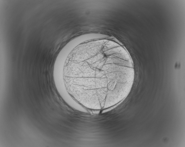 X0000112920720200910051108