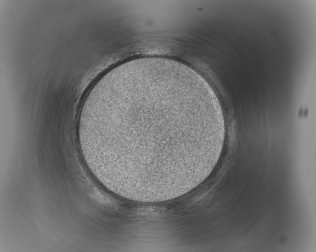 X0000112920721200910051107
