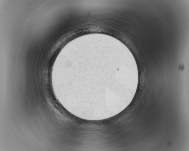 X0000112920722200910051107