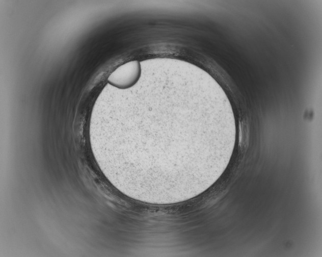 X0000112920723200910051107