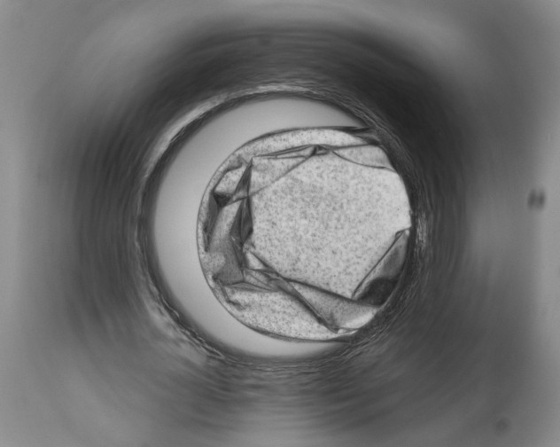 X0000112920724200910051107