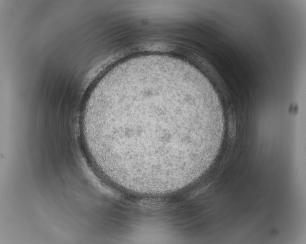 X0000112920725200910051107