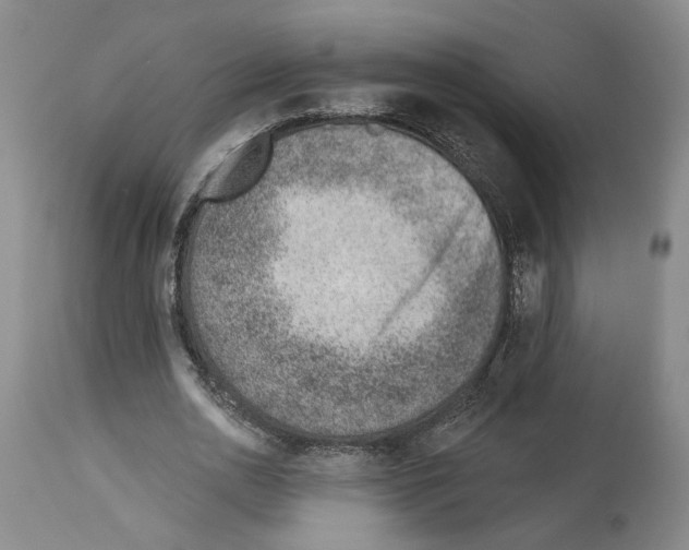 X0000112920726200910051107