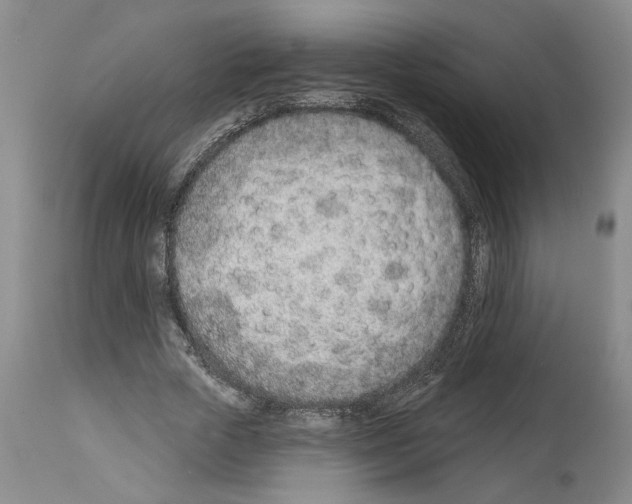 X0000112920729200910051107