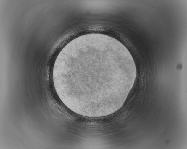 X0000112920731200910051107