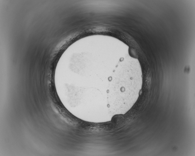 X0000112920732200910051107