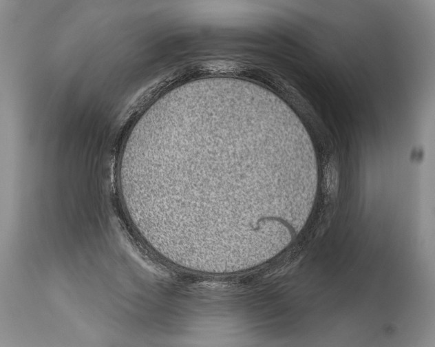 X0000112920733200910051107