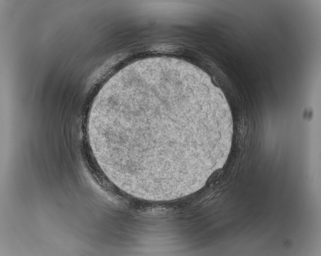 X0000112920734200910051107