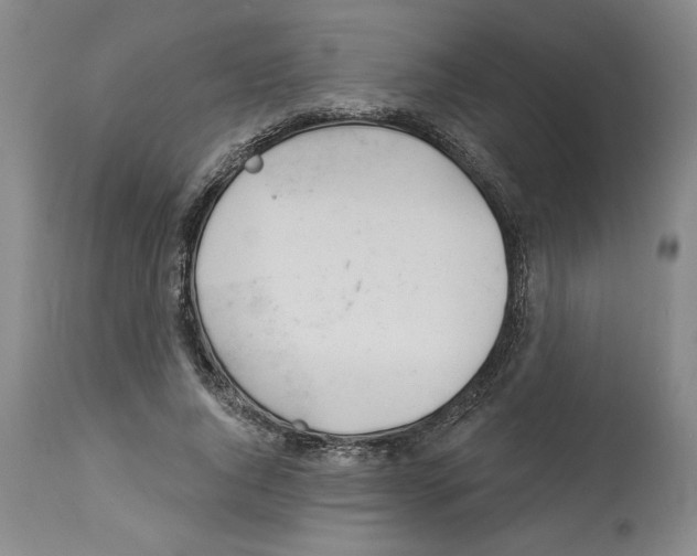 X0000112920736200910051107