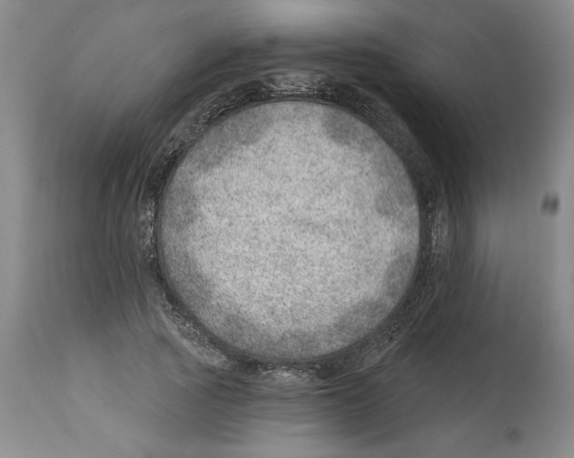 X0000112920737200910051107