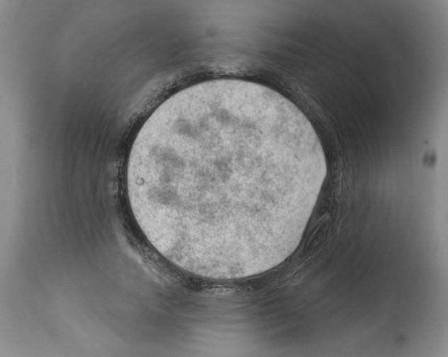 X0000112920738200910051107
