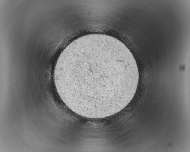 X0000112920739200910051107
