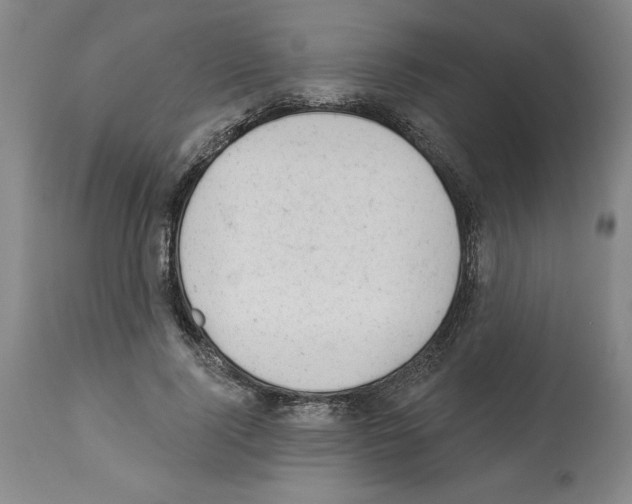 X0000112920740200910051107