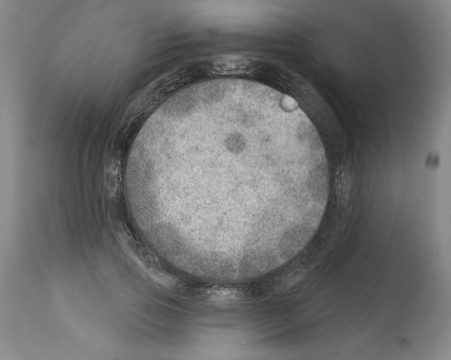 X0000112920741200910051107