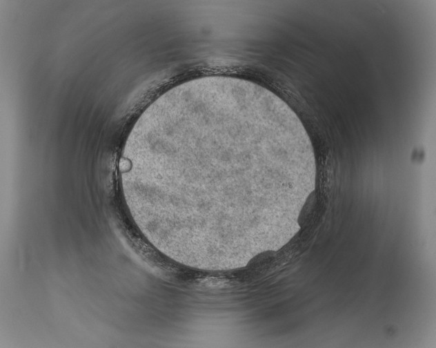 X0000112920742200910051107