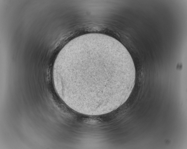 X0000112920743200910051107